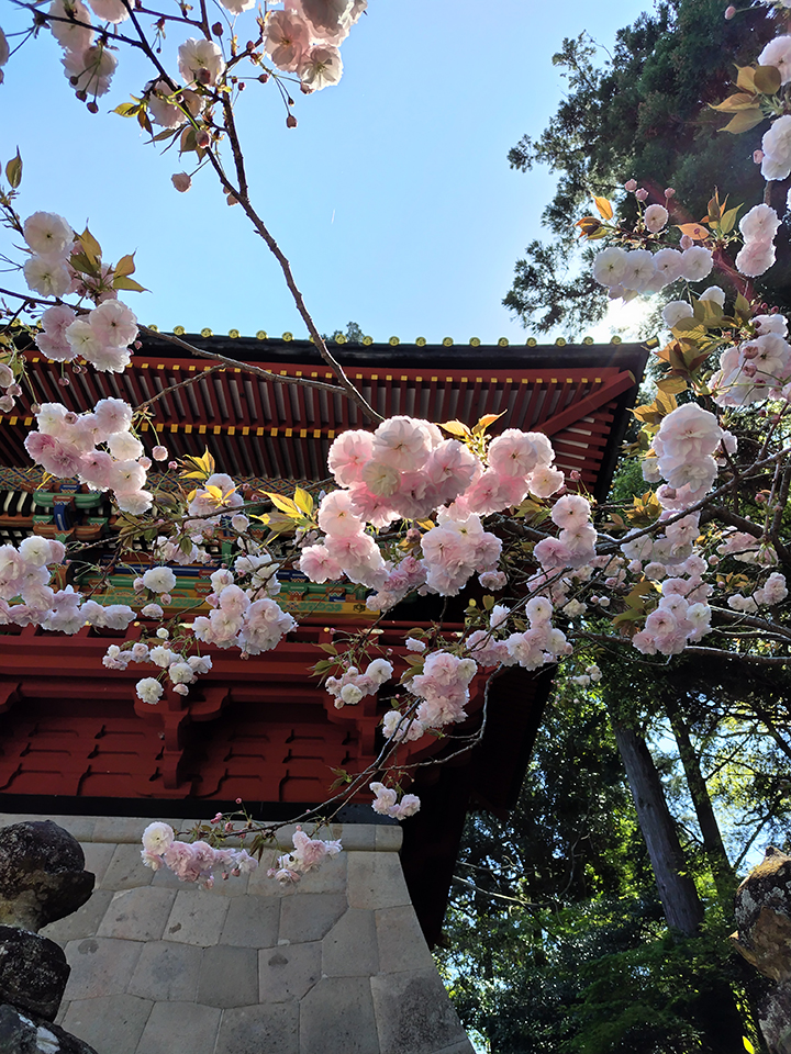 久能山東照宮