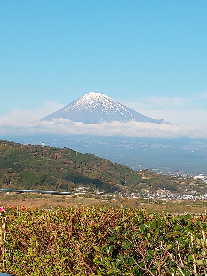 富士川SA下りから見える富士山